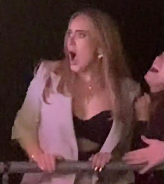 Adele makes surprise appearance at strip club and dances on pole