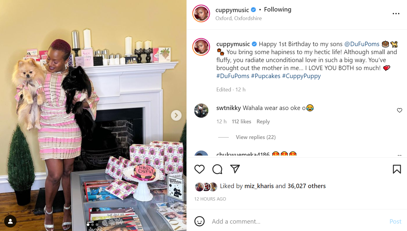 You brought out the mother in me - DJ Cuppy says as she celebrates her dogs