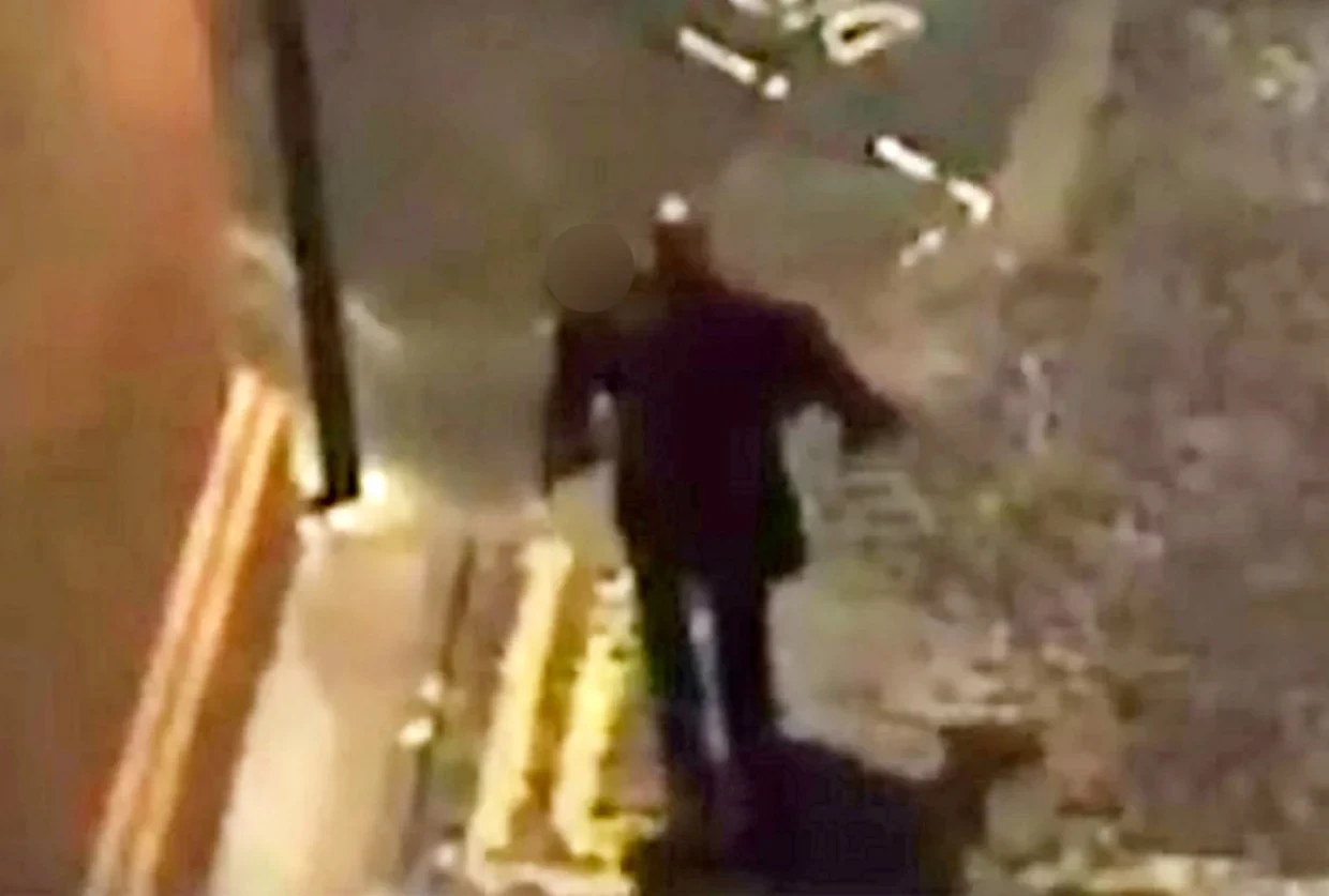Rapist who carried woman through city to assault her is jailed for life
