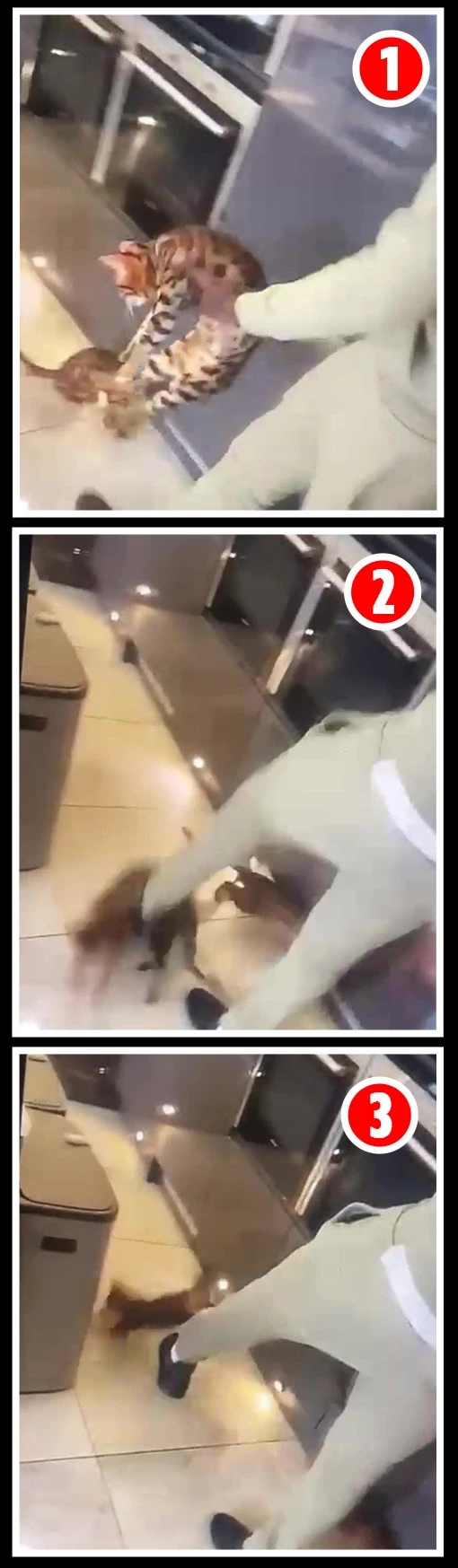 Watch disturbing video of West Ham/France footballer Kurt Zouma assaulting his pet cat at home (video)
