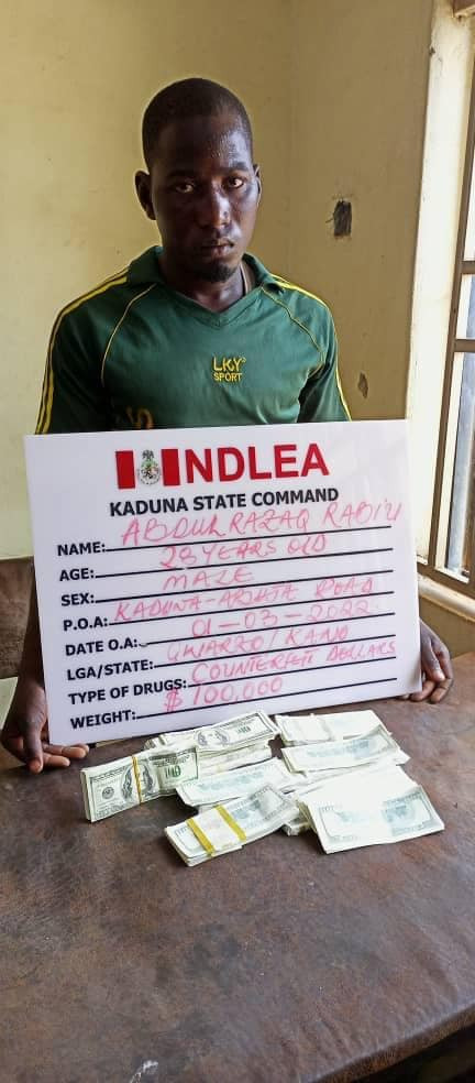 Principal suspect in importation of Jihadist drug arrested after six months on the run as NDLEA recovers 294,440 Tramadol tablets, seizes 38,862 cartridges