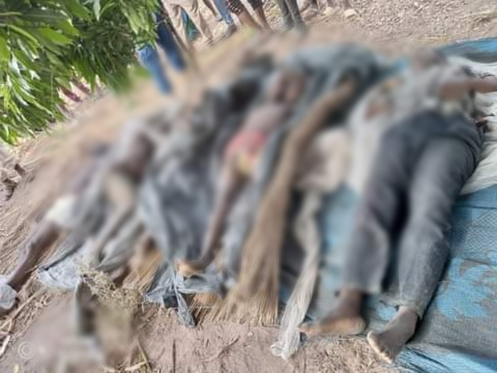 Again, suspected herdsmen slaughter 8 people in Benue 